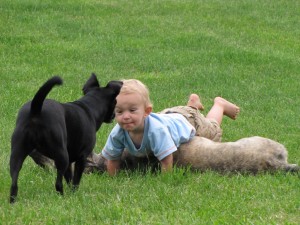 Me and My Pets